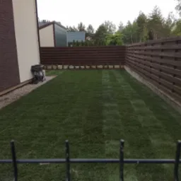 Zadbany trawnik z rolki przy domu jednorodzinnym, widok zza metalowego ogrodzenia. W tle drewniany płot i rząd małych drzewek.