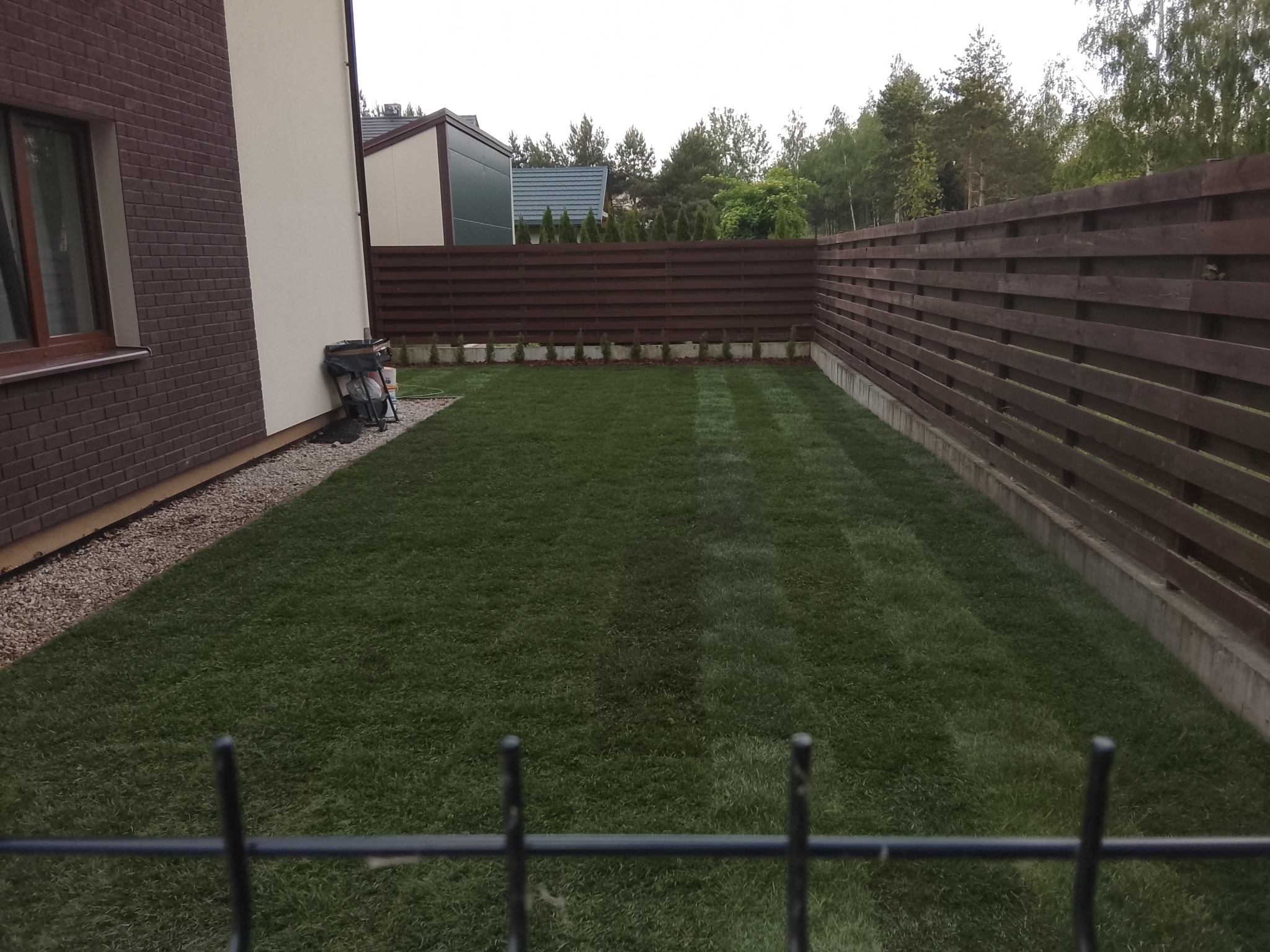 Zadbany trawnik z rolki przy domu jednorodzinnym, widok zza metalowego ogrodzenia. W tle drewniany płot i rząd małych drzewek.