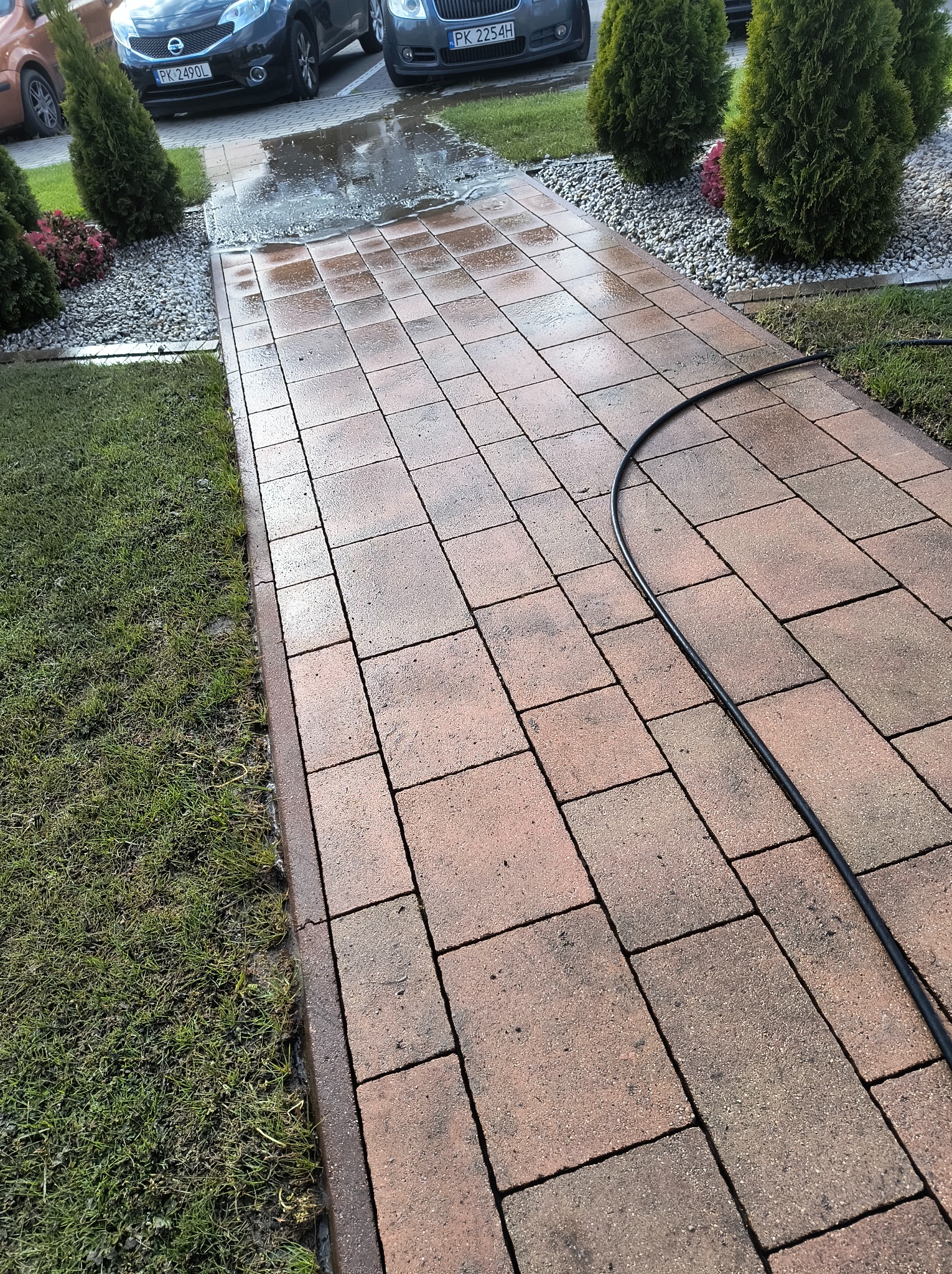 Częściowo umyta, mokra kostka brukowa w ogrodzie. Widoczne samochody w tle i czarny wąż do mycia. Część kostki jest już czysta.