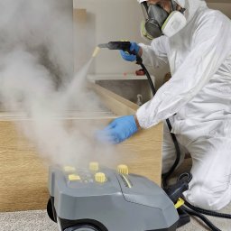 Termiczne usuwanie pluskiew 