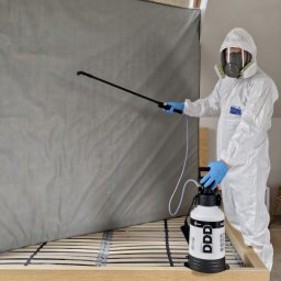 Oprysk precyzyjny na pluskwy