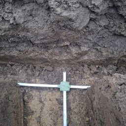 MARBOG - Wykop pod fundament ogrodzenia z widocznym szalunkiem z profili metalowych. Świeża ziemia, brązowa gleba. Przygotowanie do wylania betonu.