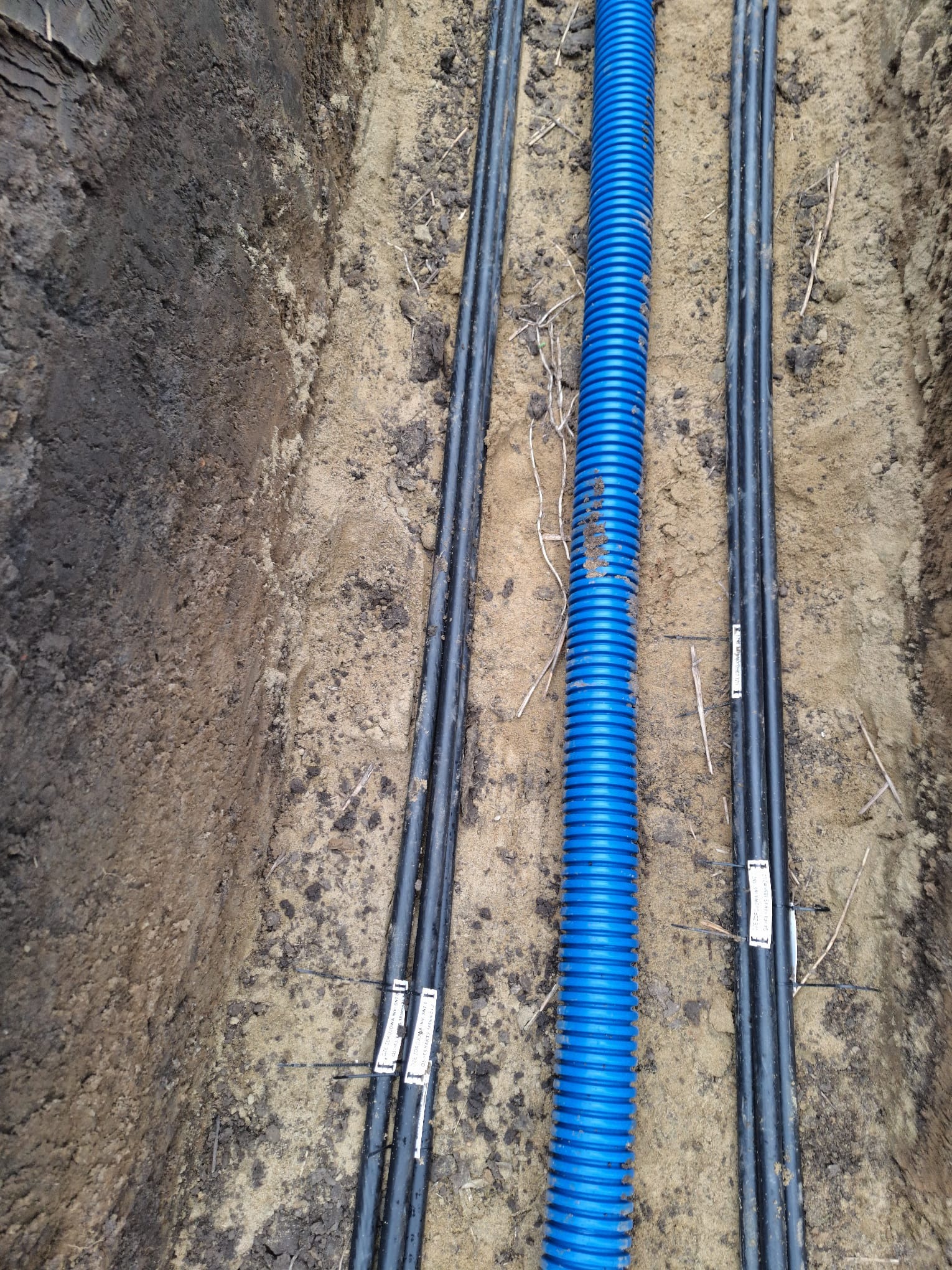 Wykop z ułożonymi rurami: niebieska karbowana pośrodku, obok wiązki czarnych rur z etykietami, ziemia piaszczysta, widok z góry.