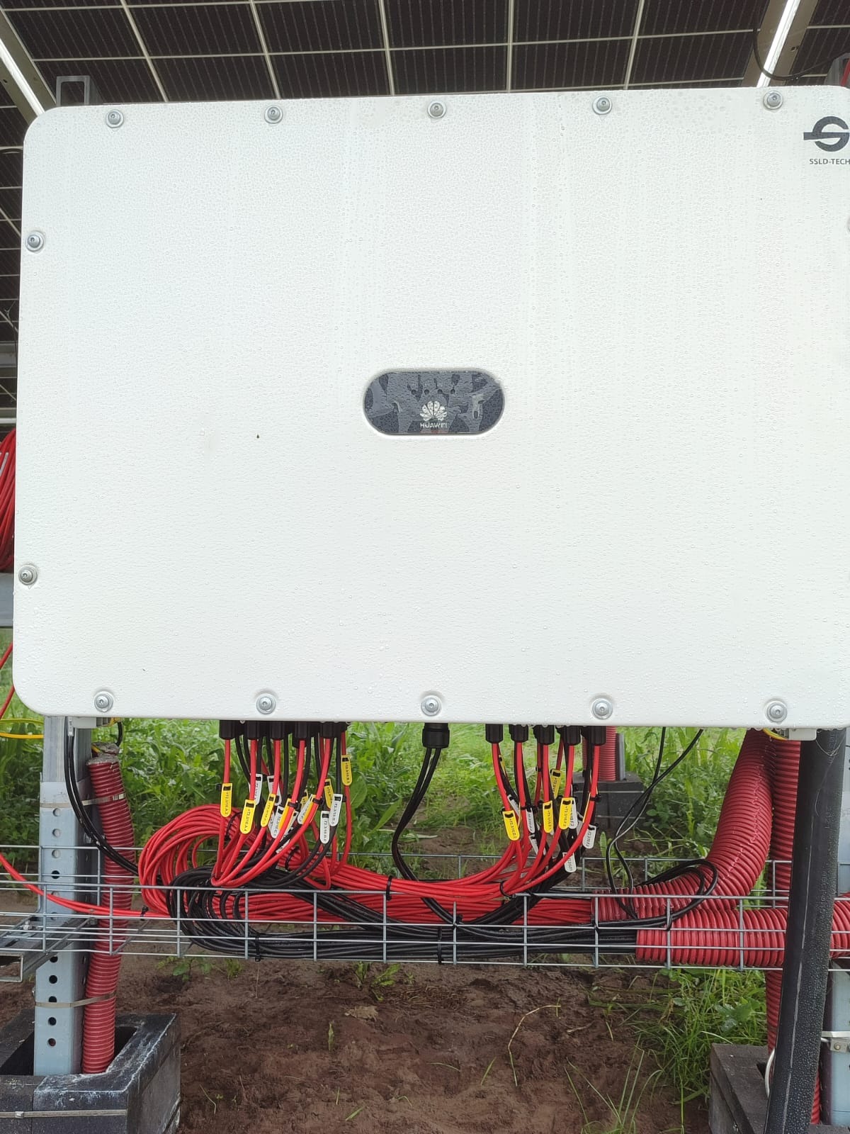Biała obudowa falownika Huawei z licznymi kablami w czerwonej i czarnej izolacji, ułożonymi na metalowej siatce. W tle panele fotowoltaiczne i zieleń.