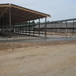 Budowa hali z drewnianą konstrukcją dachu, widok z zewnątrz na plac budowy, z widocznymi elementami konstrukcyjnymi i przygotowanym terenem.