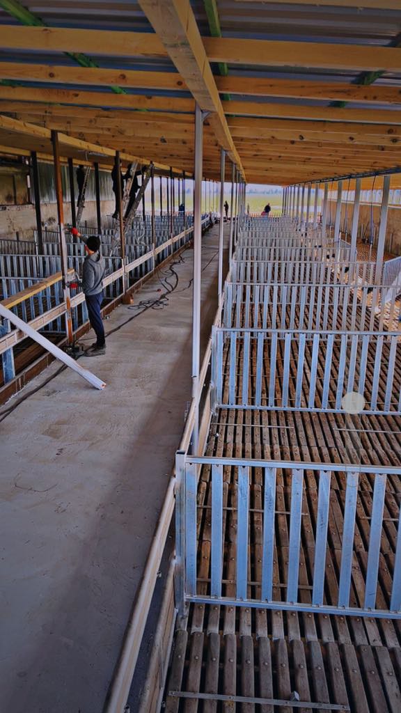 Budowa hali: metalowe i drewniane konstrukcje wewnątrz, pracownik w oddali. Widok na budowę z perspektywy wnętrza, zarys krajobrazu w tle.