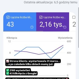 Jerzy Janicki - Wykres skuteczności SEO z danymi: 43 kliknięcia, 2,16 tys. wyświetleń w 28 dni. Tekst: 'SEO na stronie WWW, Wypozycjonowane frazy na wizytówce Google'.
