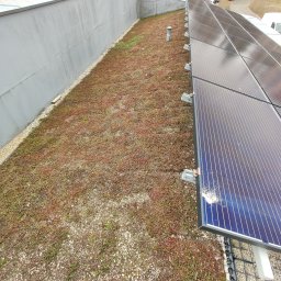 JDG Andriy Grytsenko - Ekstensywny zielony dach z panelami słonecznymi, widok z góry, z drobnymi kamykami na obrzeżach i szarym kominem wentylacyjnym.