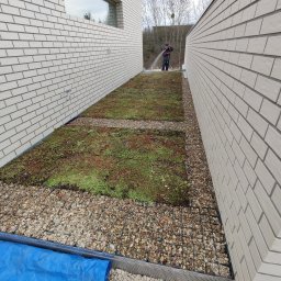 JDG Andriy Grytsenko - Intensywne podlewanie zielonego dachu z bliska między budynkami z cegły. Widoczne kamyki, mata i fragment niebieskiej plandeki. Osoba podlewa rośliny w oddali.