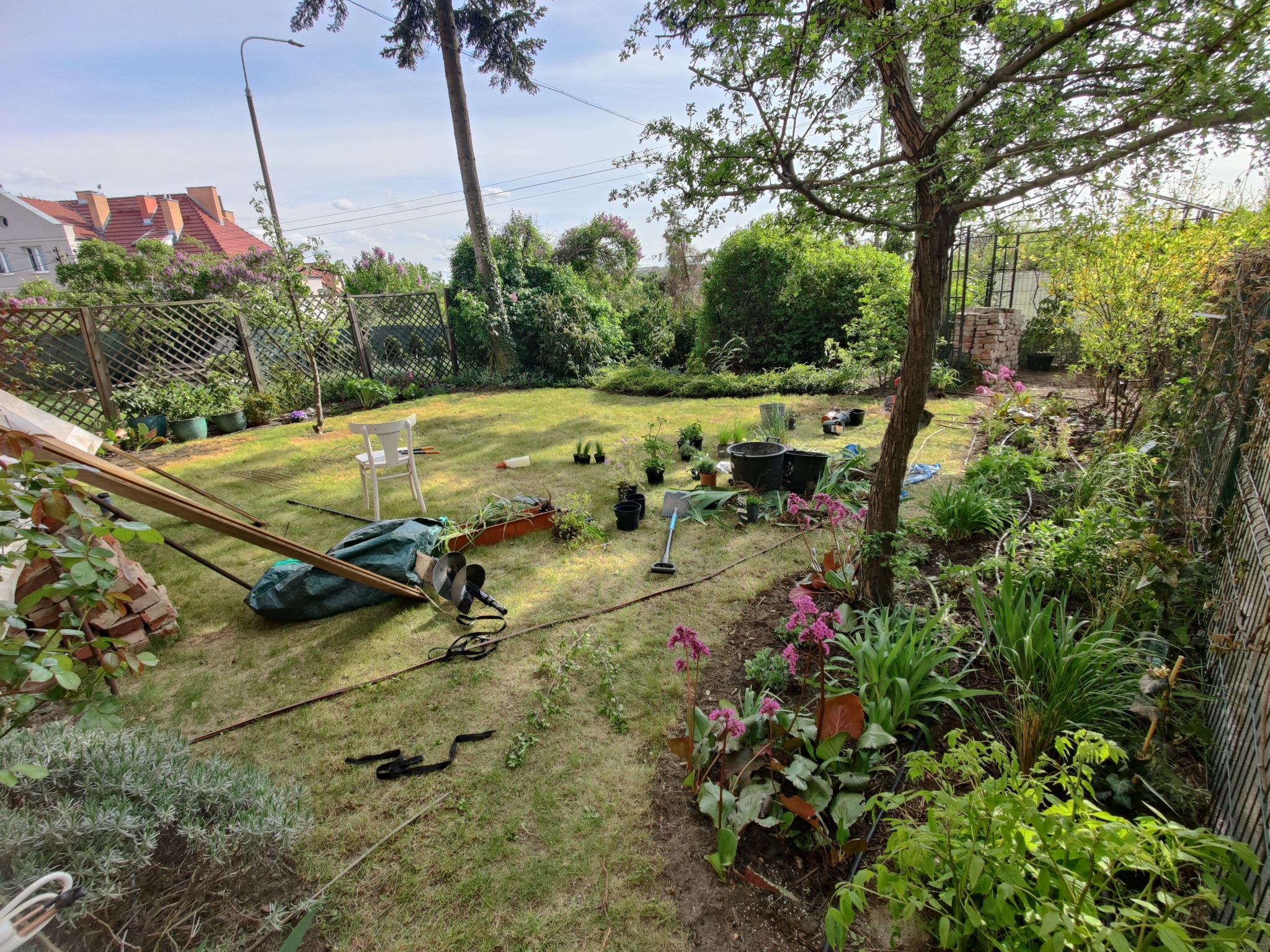 Przygotowania do nasadzeń w ogrodzie: doniczki z sadzonkami, narzędzia ogrodnicze i materiały rozłożone na trawniku, w tle zielona roślinność i fragment domu.