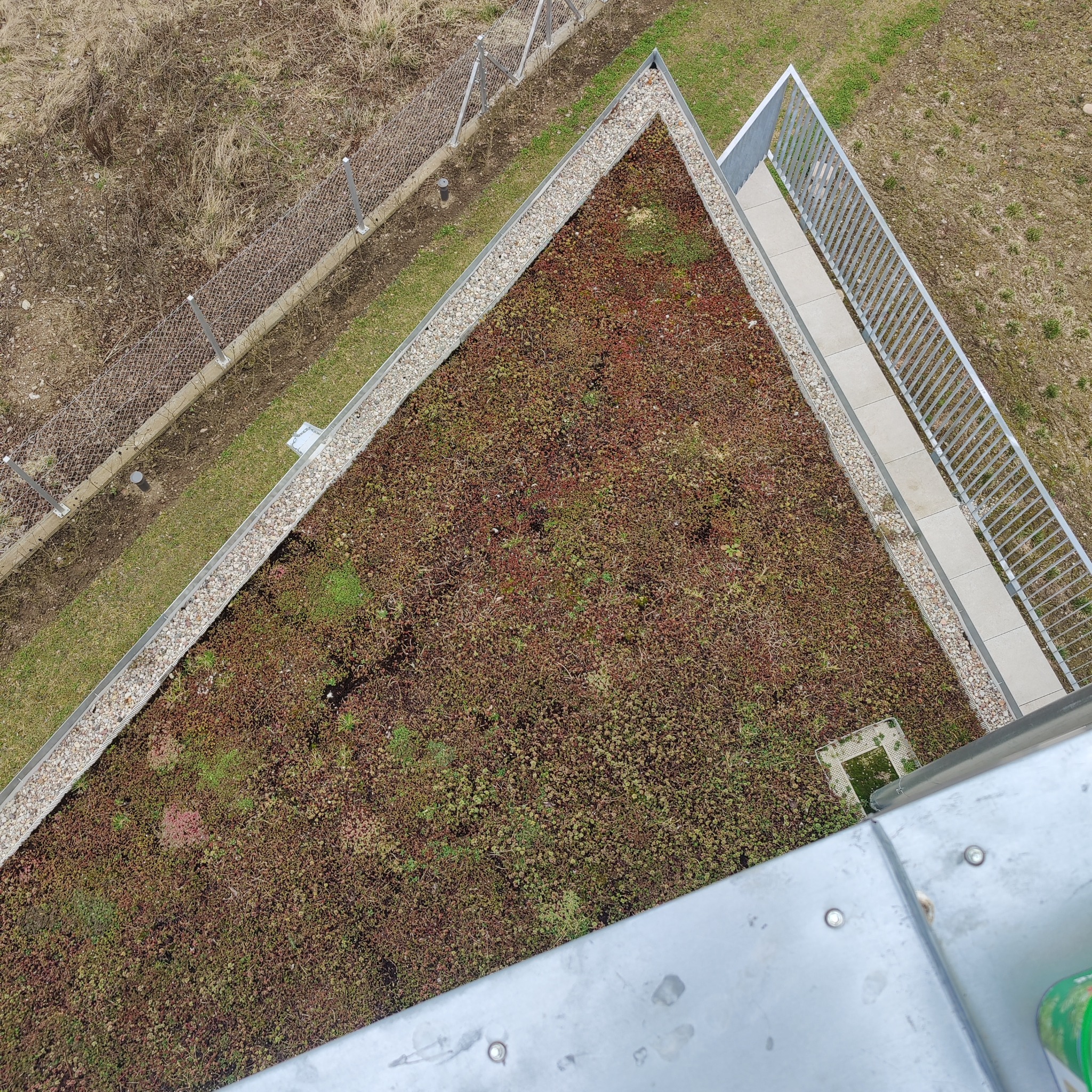Widok z góry na trójkątny zielony dach z roślinnością, obrzeżem z kamyków i metalowymi barierkami. Obok widoczny fragment trawnika i ogrodzenia.