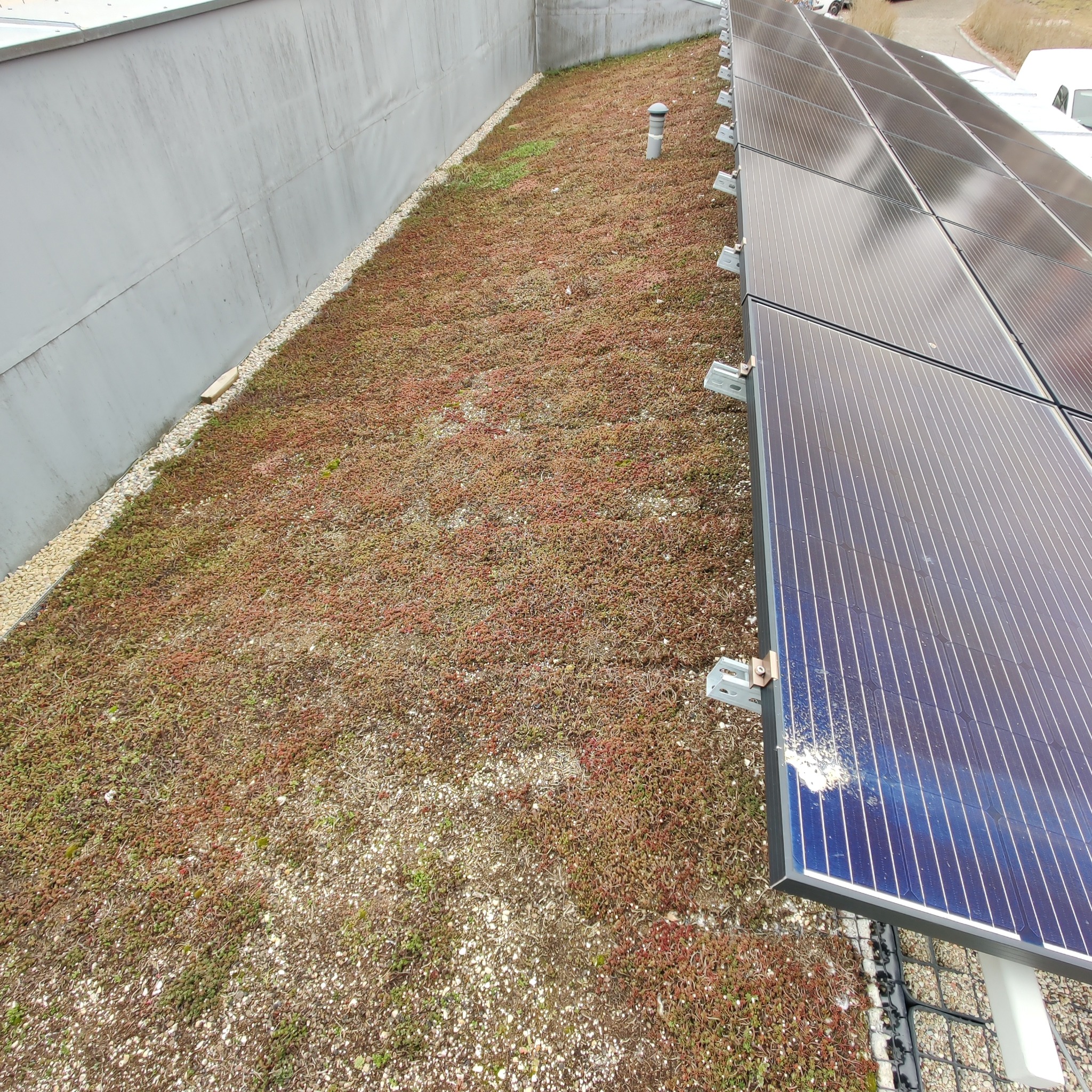 Ekstensywny zielony dach z panelami słonecznymi, widok z góry, z drobnymi kamykami na obrzeżach i szarym kominem wentylacyjnym.