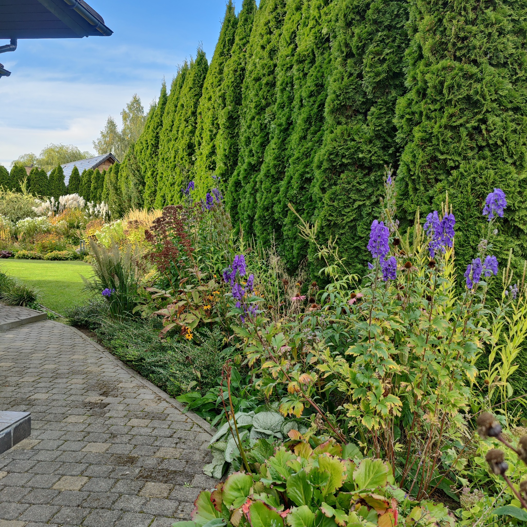 Estetyczny ogród z równo przyciętymi tujami, kwitnącymi kwiatami i zadbanym trawnikiem, widziany z kamiennej ścieżki. Ujęcie z bliska, podkreślające detale roślin.