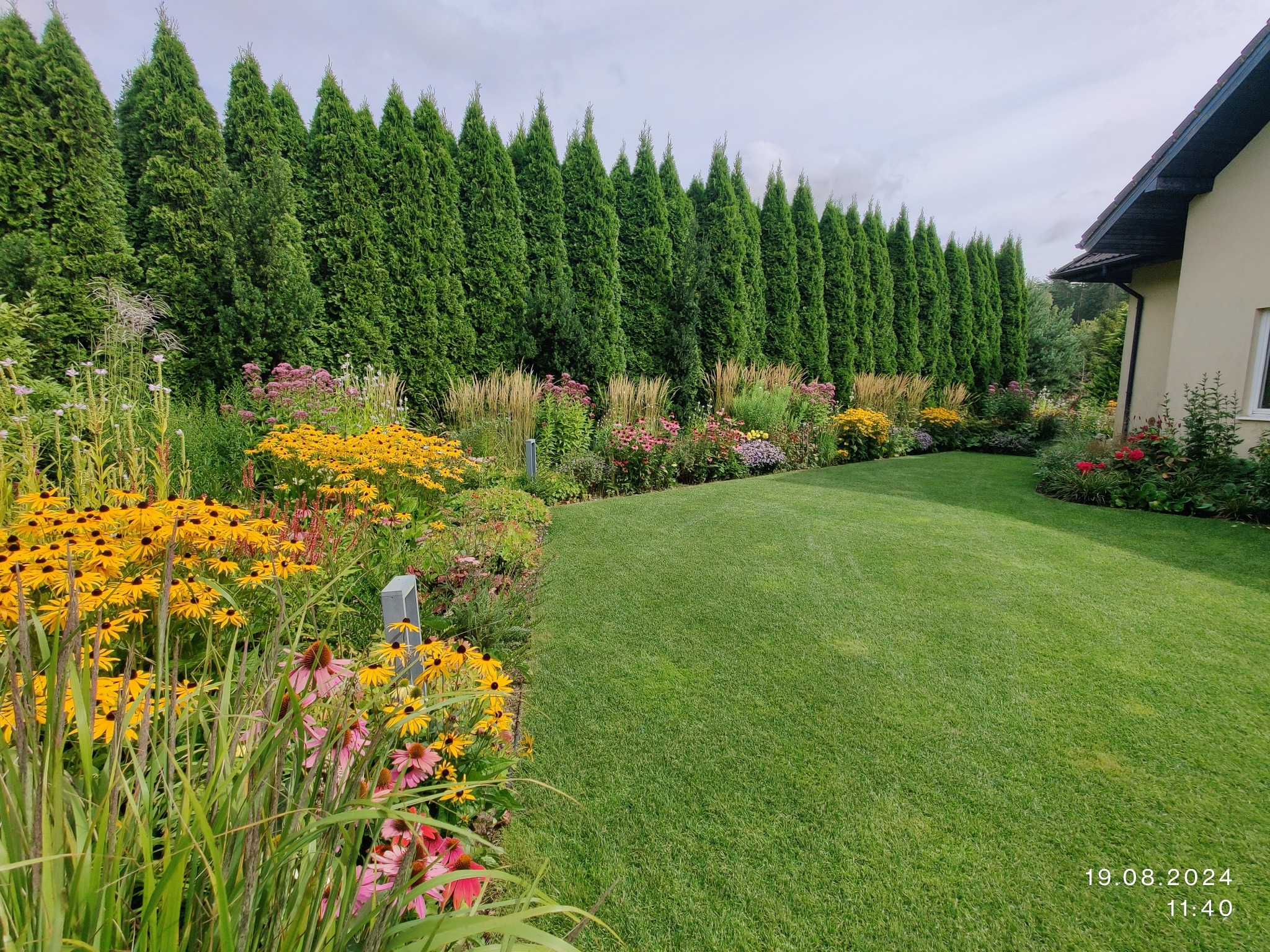 Zadbany ogród z równo przystrzyżonym trawnikiem, obfitymi rabatami kwiatowymi i szpalerem wysokich, zielonych drzew iglastych w tle. Widok na fragment domu.