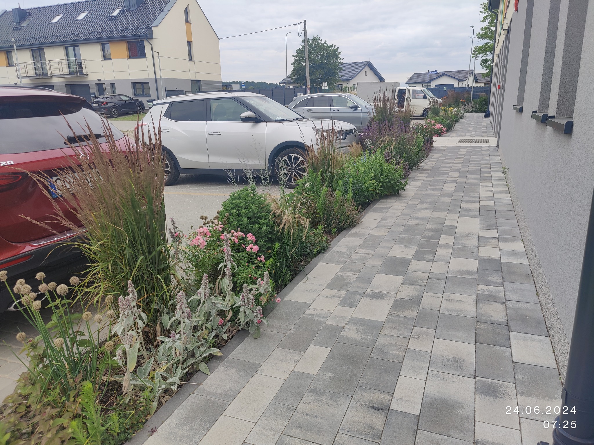 Kaskada roślinności wzdłuż chodnika z kostki brukowej, z zaparkowanymi samochodami w tle, tworząca estetyczne otoczenie budynku.