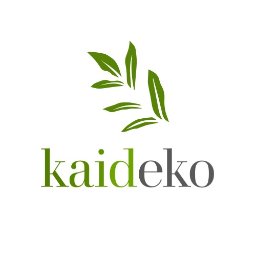KAIDEKO SPÓŁKA Z OGRANICZONĄ ODPOWIEDZIALNOŚCIĄ - Obsługa Wózka Widłowego Kraków