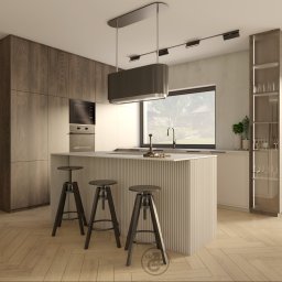 VIZJA STUDIO ALEKSANDRA JANKOWSKA - Projekt kuchni
