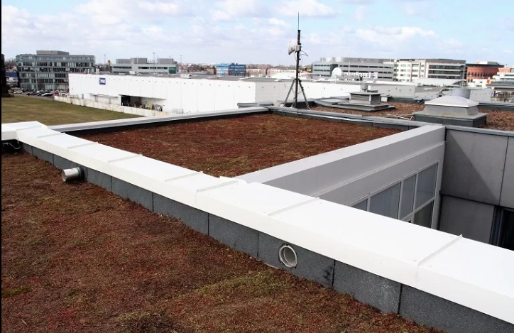 Zielony dach z roślinnością na płaskim dachu budynku, z widocznymi elementami wentylacji i anteną na dachu w tle. Widok z góry na miejski krajobraz.