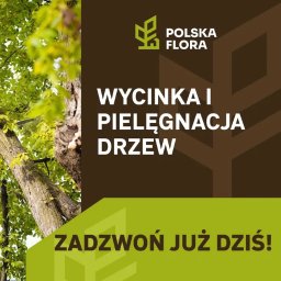 COLOV SPÓŁKA Z OGRANICZONĄ ODPOWIEDZIALNOŚCIĄ - Fantastyczne Ścinanie Drzew Łuków