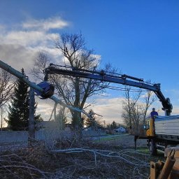 Wespol - Żuraw chwyta odciętą gałąź drzewa nad stertą gałęzi, pracownik na platformie ciężarówki, błękitne niebo w tle. Wycinka drzew z użyciem specjalistycznego sprzętu.