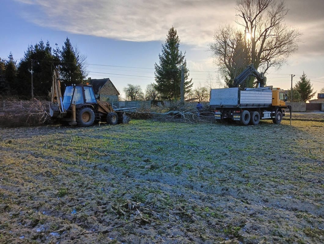 Żółty traktor z łyżką i ciężarówka z dźwigiem na polu po wycince drzew. Słońce przebija przez korony drzew. Prace ziemne w toku.