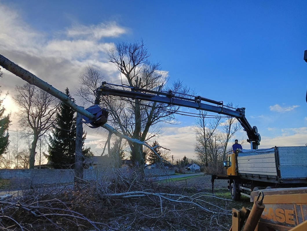 Żuraw chwyta odciętą gałąź drzewa nad stertą gałęzi, pracownik na platformie ciężarówki, błękitne niebo w tle. Wycinka drzew z użyciem specjalistycznego sprzętu.