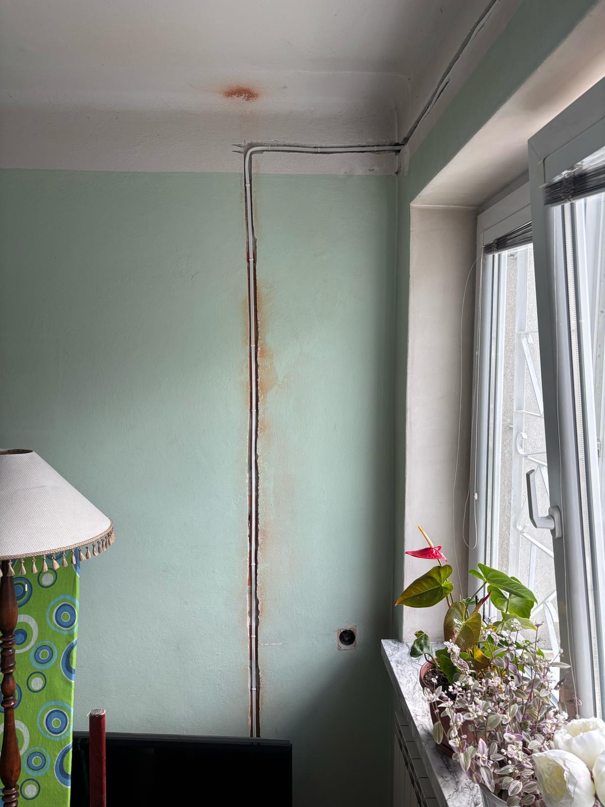 Bruzdowanie ściany pod instalację elektryczną w pomieszczeniu z zieloną ścianą i oknem. Widoczne kable pod sufitem. Etap prac przed tynkowaniem.