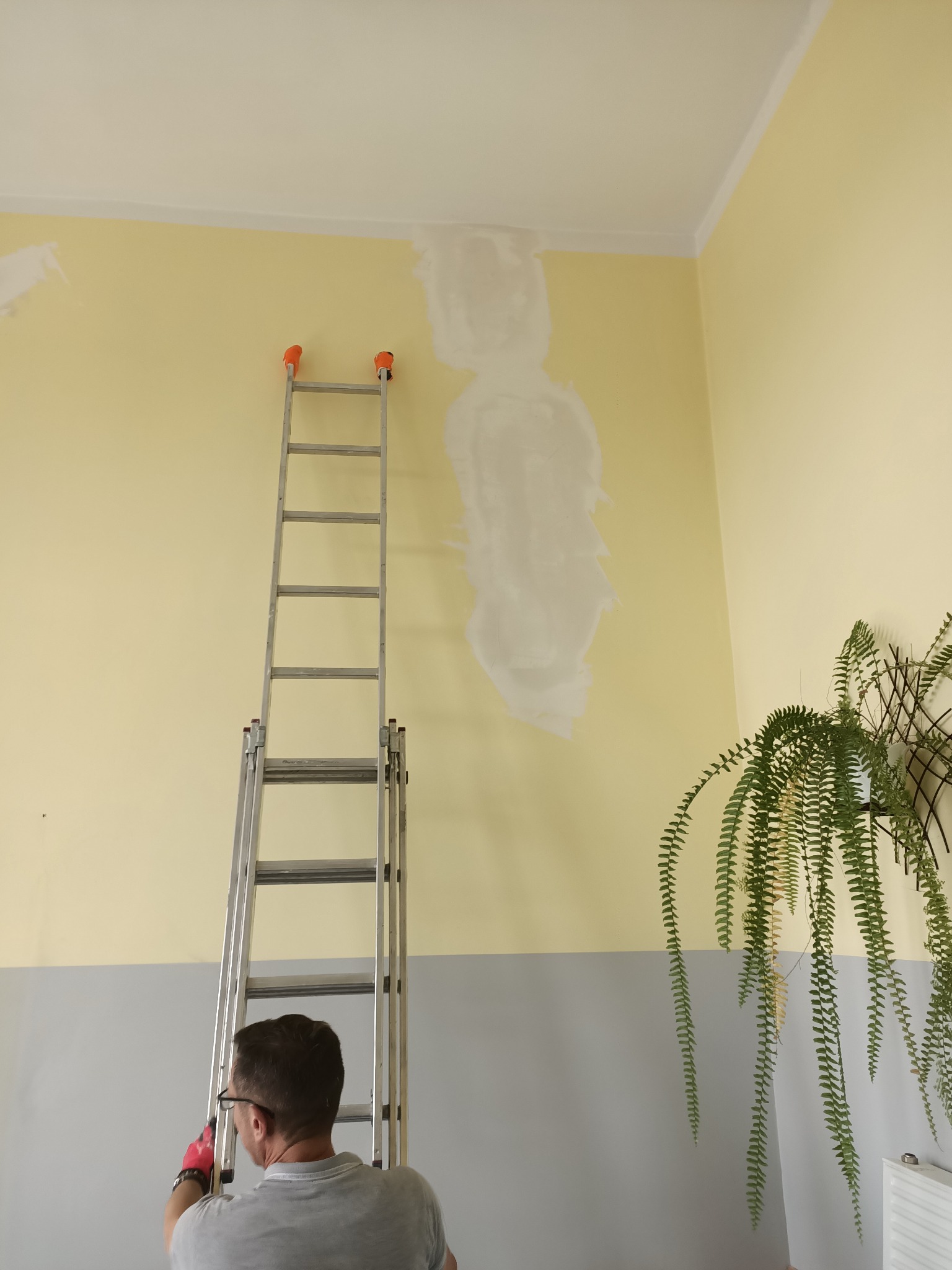 Żółta ściana z szarym dołem, częściowo wyszpachlowana, drabina, mężczyzna w okularach. W rogu zielona roślina doniczkowa.