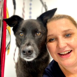 Best-Friends Psi Fryzjer - 