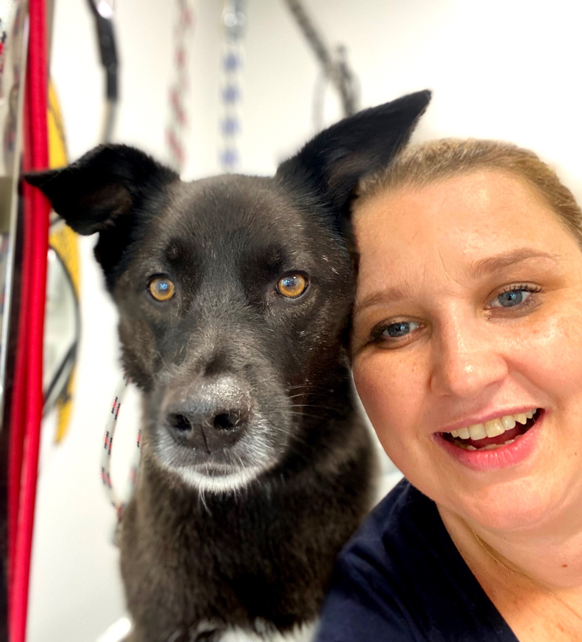 Uśmiechnięta kobieta robi selfie z czarnym psem w salonie groomerskim. Pies ma brązowe oczy i białe włosy na brodzie. W tle widać sprzęt fryzjerski.