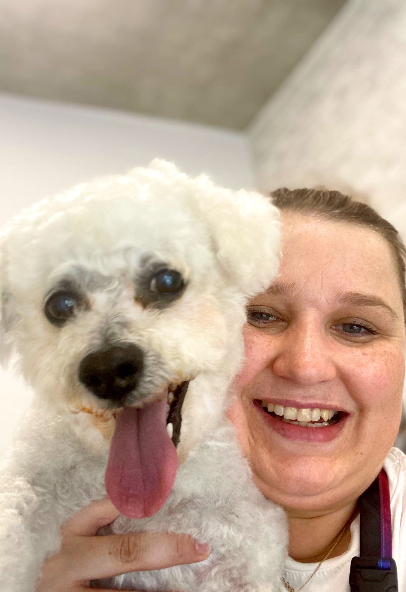 Uśmiechnięta kobieta trzymająca białego, kudłatego psa z wywieszonym językiem. Portret w jasnym wnętrzu, możliwe w salonie pielęgnacji zwierząt.