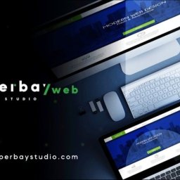 Tworzenie stron internetowych Złotoryja 1