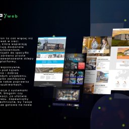 Tworzenie stron internetowych Złotoryja 2