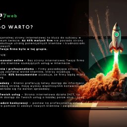 Tworzenie stron internetowych Złotoryja 3