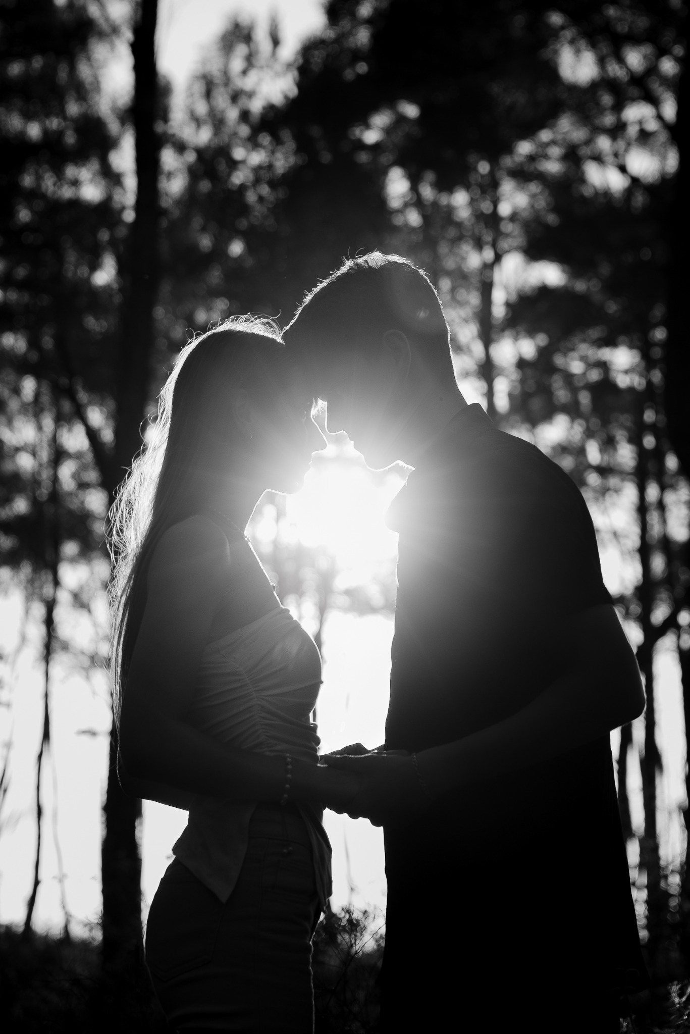 Sylwetki pary zakochanych na tle lasu i promieni słonecznych. Czarno-biała fotografia z subtelnym efektem halo. Ujęcie z bliska, intymna atmosfera.