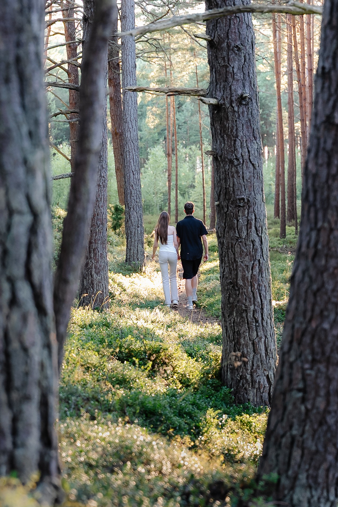 Para spaceruje leśną ścieżką w promieniach słońca. Widok zza drzew, skupiony na sylwetkach oddalających się w głąb lasu. Romantyczna sceneria.
