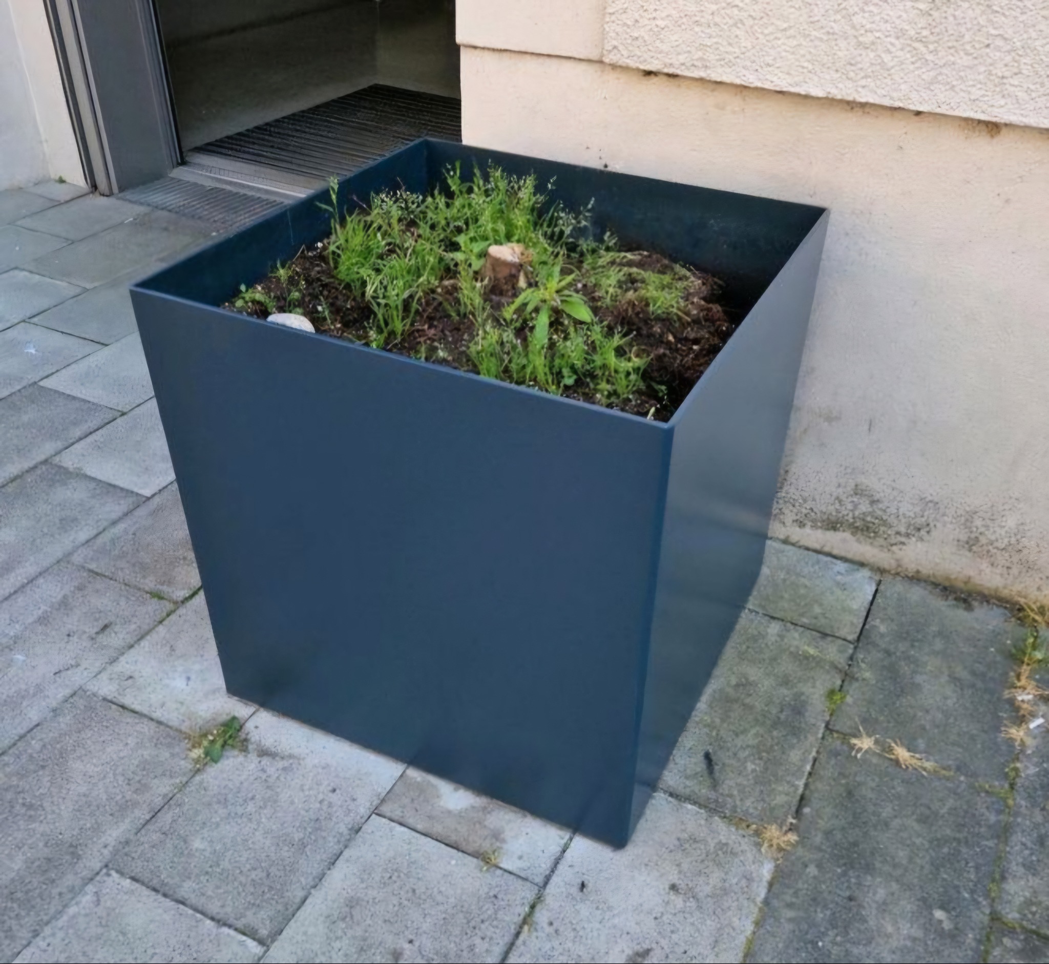 Szara, metalowa donica w kształcie sześcianu z ziemią i zieloną roślinnością w środku, stoi na szarym chodniku przy jasnej ścianie budynku.