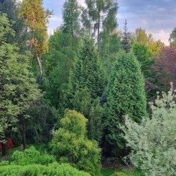 Projekt ogrodu w powiecie krakowskim wykonany w 1998. Na terenie 20 arów zostały wykonane nasadzenia drzew i krzewów, poprowadzono alejki spacerowe, wykonana na zamówienie huśtawki. W części przydomowej wykonano nawodnienie trawnika i klombów.