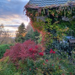 Projekt przydomowych klombów ogrodu, wykonanie elewacji oraz zadarnienie nasypu fundamentu.