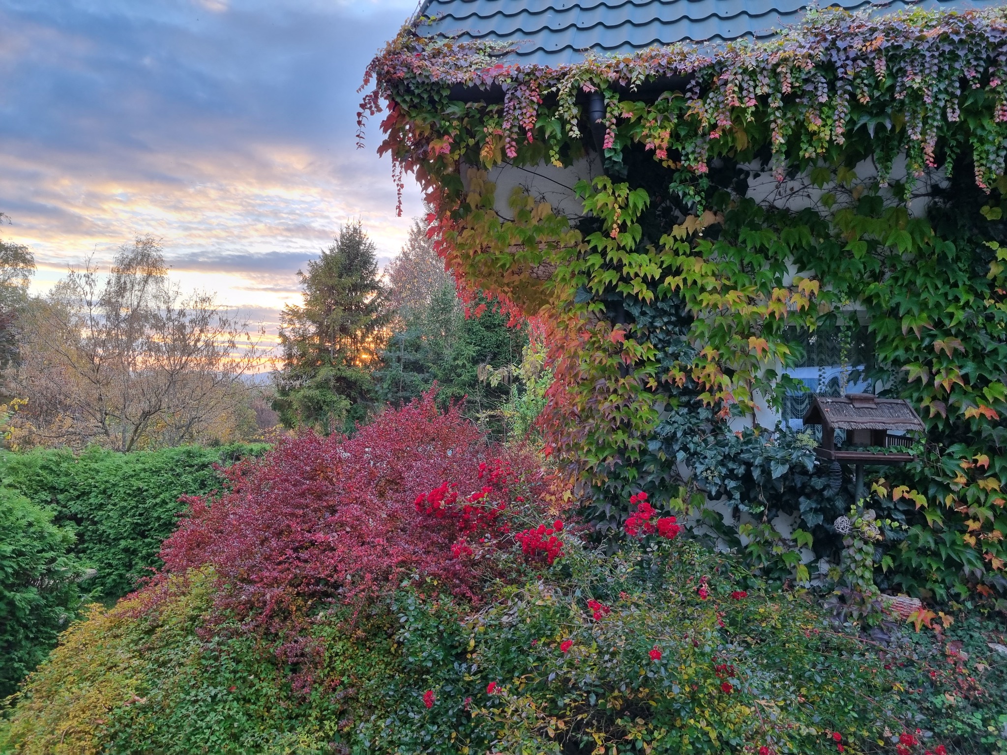 Projekt przydomowych klombów ogrodu, wykonanie elewacji oraz zadarnienie nasypu fundamentu.
