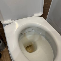 Przytulny dom - Brudna toaleta z otwartą klapą, widoczne osady w muszli, drewnopodobne panele na ścianie w tle. Potrzeba gruntownego wyszorowania.