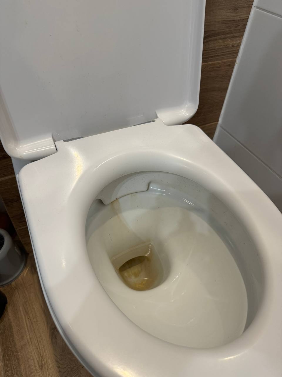 Brudna toaleta z otwartą klapą, widoczne osady w muszli, drewnopodobne panele na ścianie w tle. Potrzeba gruntownego wyszorowania.