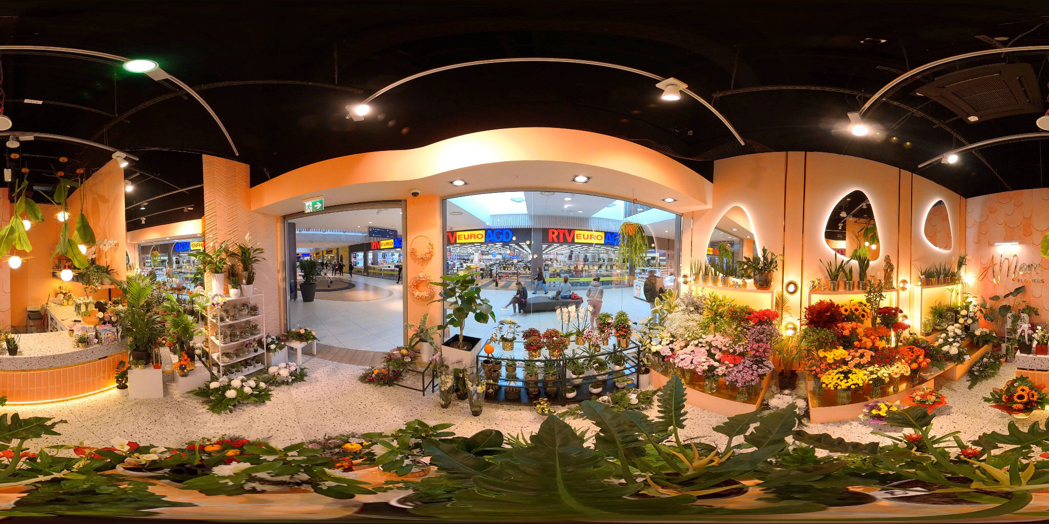 Spacer wirtualny 360 Kwiaciarnia Gdynia