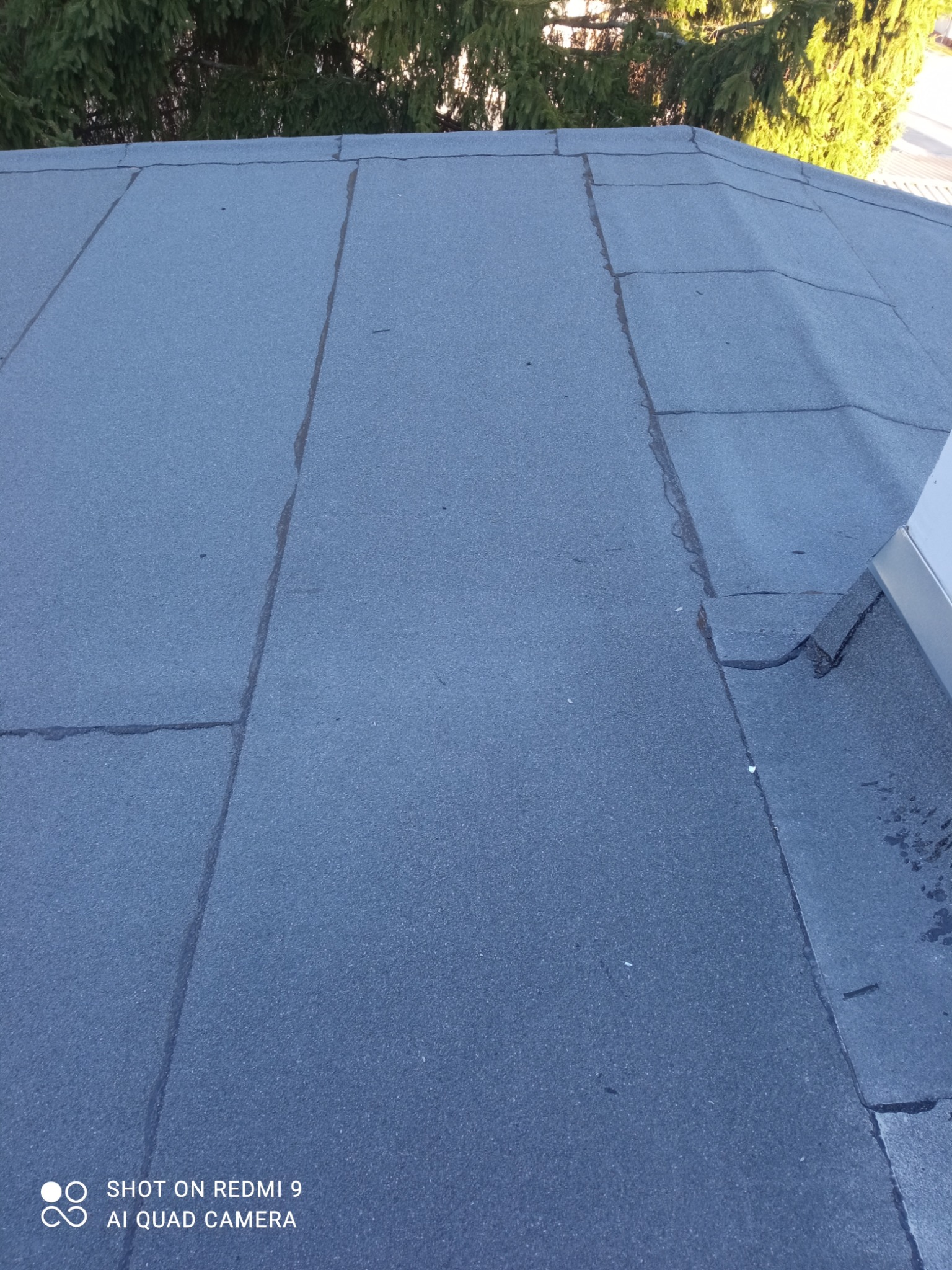 Płaski dach pokryty papą, widoczne łączenia i fragment rynny. Na górze kadru drzewa. Kąt ujęcia z góry, lekko z boku.