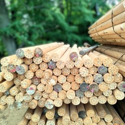 WIĘŹBUD SP. Z O.O. - Stos okrąglaków z drewna, ułożonych warstwami. Widoczne czoła z charakterystycznym wzorem. W tle zieleń drzew, co sugeruje składowanie na zewnątrz.
