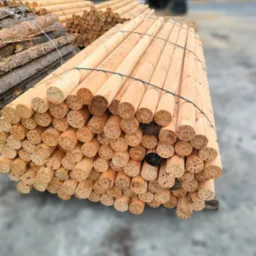 Stos okrąglaków z jasnego drewna, związanych czarną taśmą, z widocznymi oznaczeniami na przekroju, ułożonych na szarym podłożu. W tle stos kory.