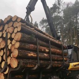 Wycinka drzew Koszelewy 1