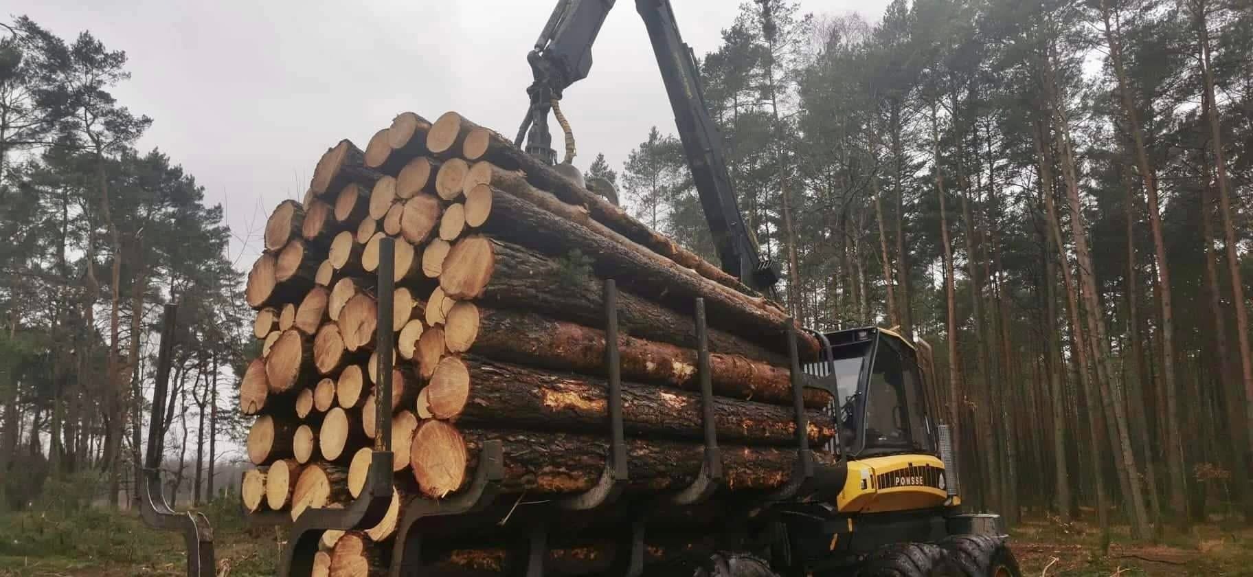 Żółty harwester Ponsse z załadunkiem ściętych pni drzew na tle lasu. Widoczne świeże przekroje drewna i ramię dźwigu. Pochmurne niebo.