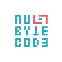 NULLBYTECODE.COM - Kursy Komputerowe Wrocław