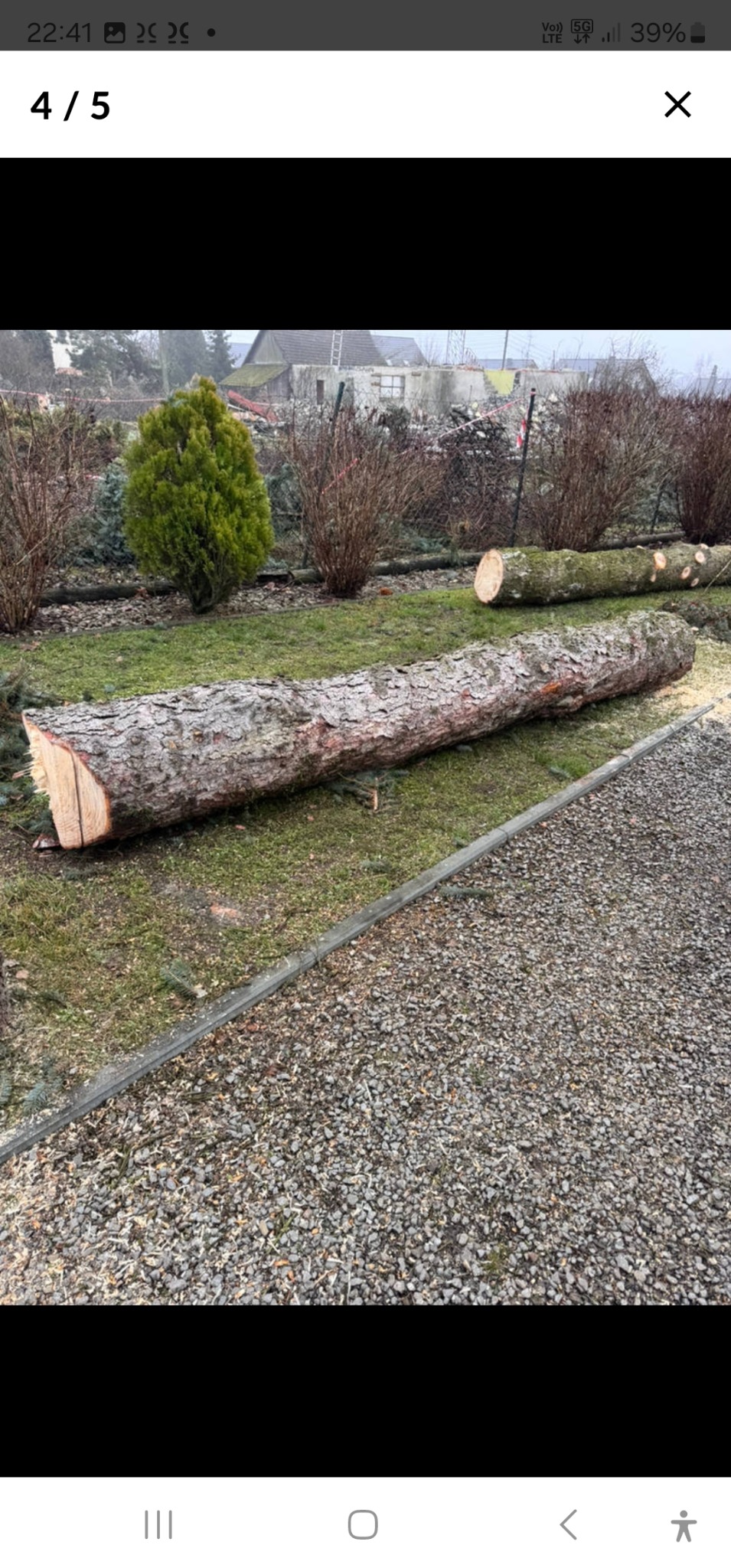 Ścięty pień drzewa leżący na trawie w ogrodzie, w tle krzewy i dom. Widoczne ślady po wycince. Szary żwir na pierwszym planie.